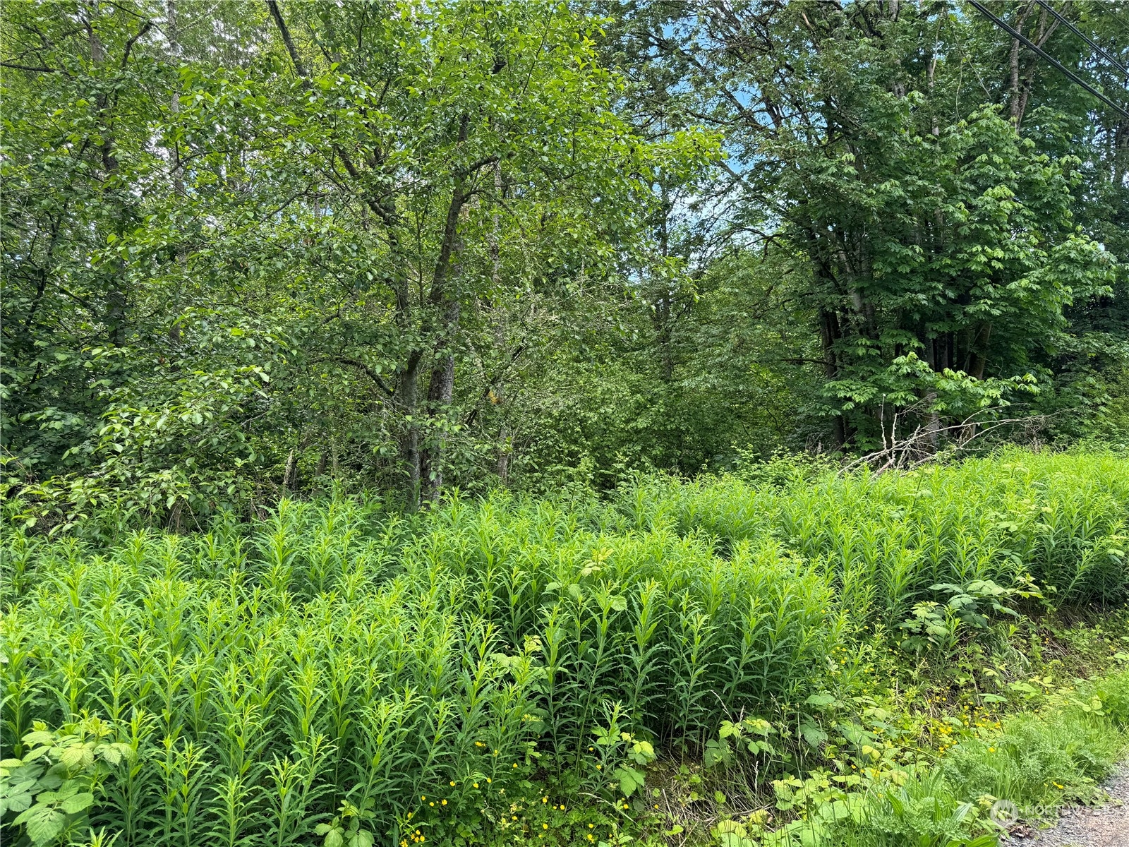 1410 169th Place Property Photo 3