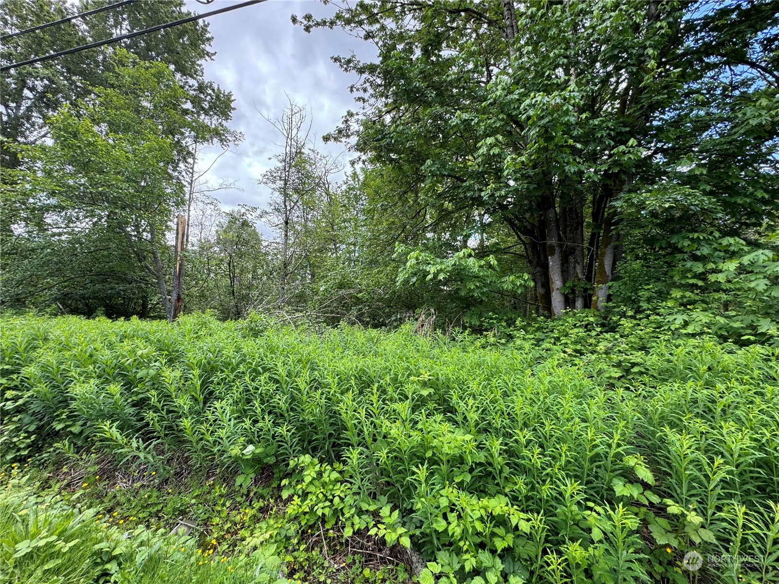 1410 169th Place Property Photo 4
