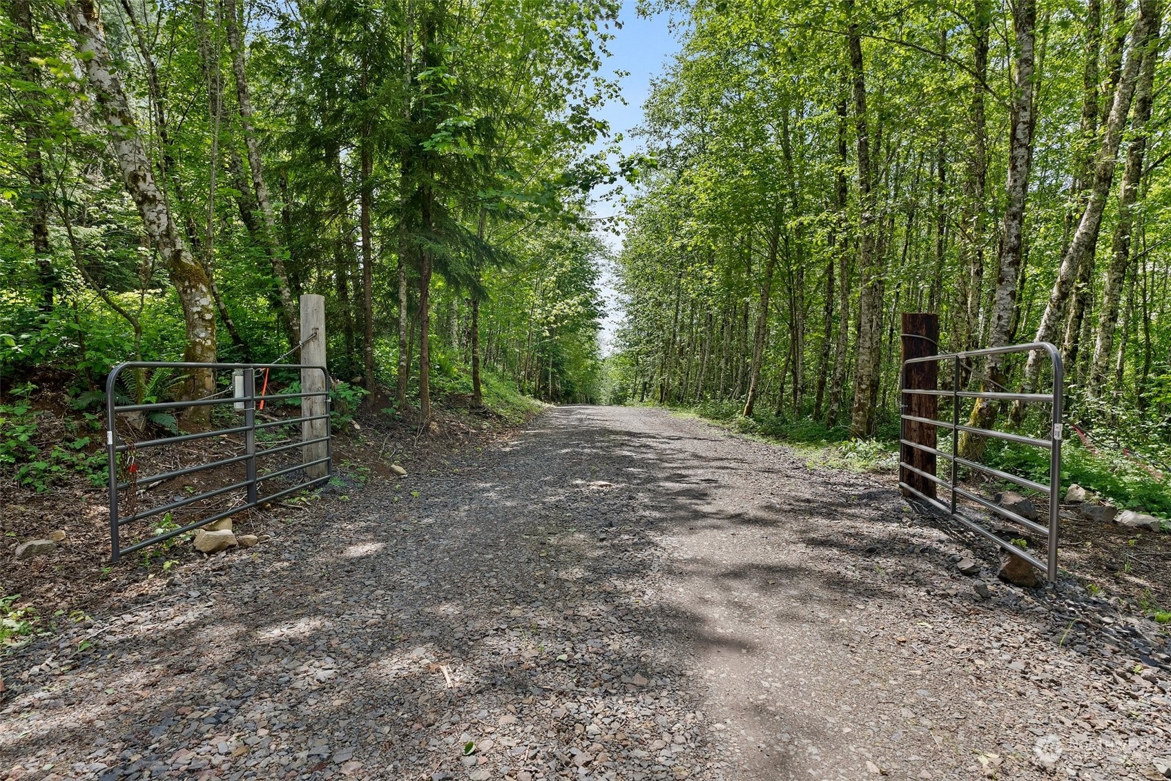 162 Owl Creek Lane Property Photo 2