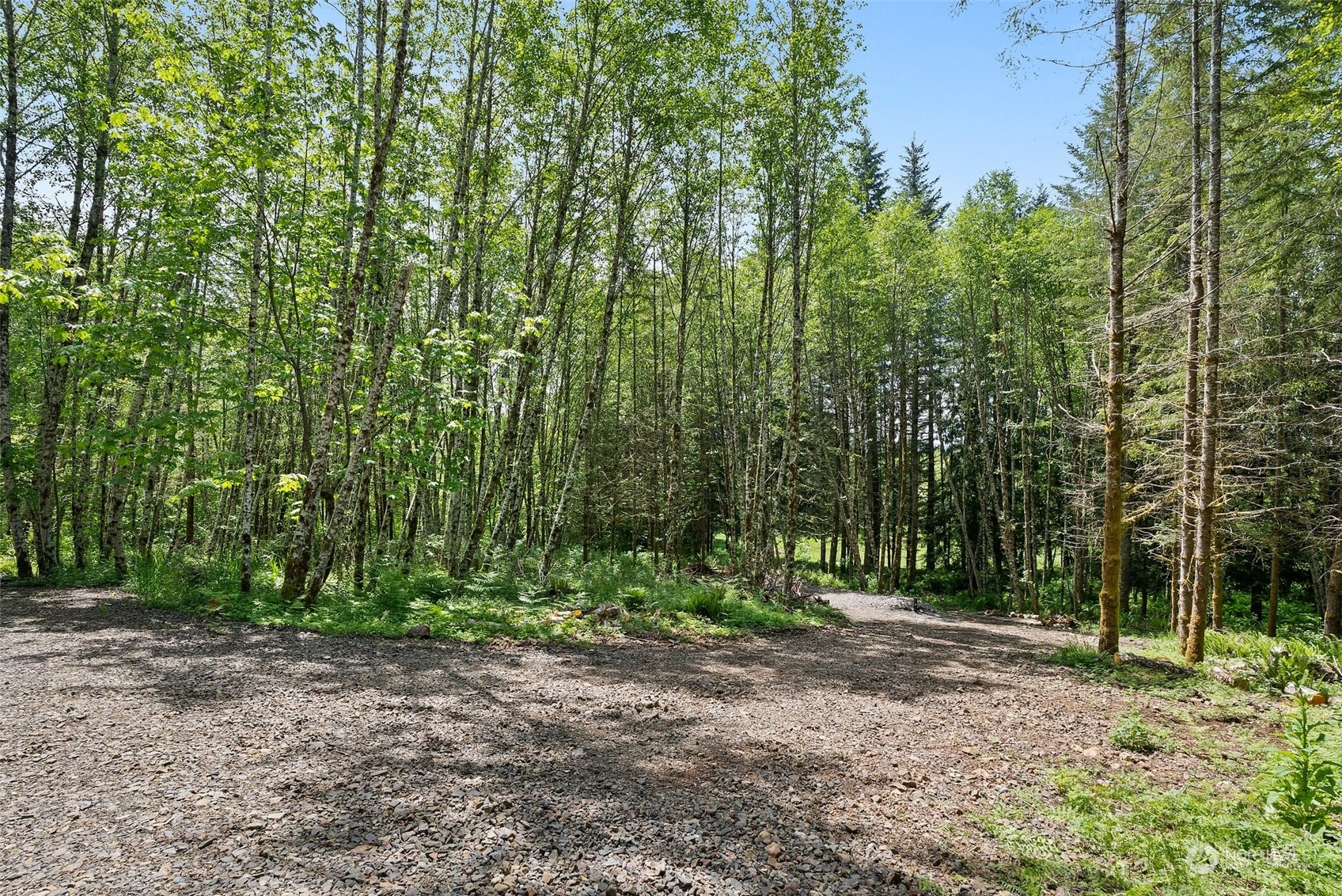 178 Owl Creek Lane Property Photo 2
