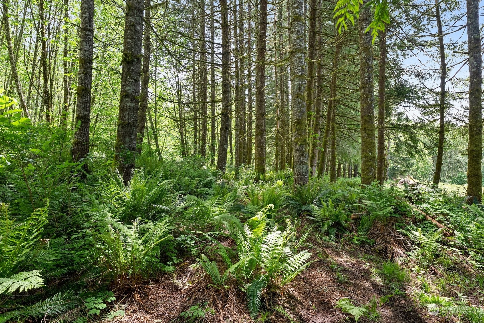 178 Owl Creek Lane Property Photo 4