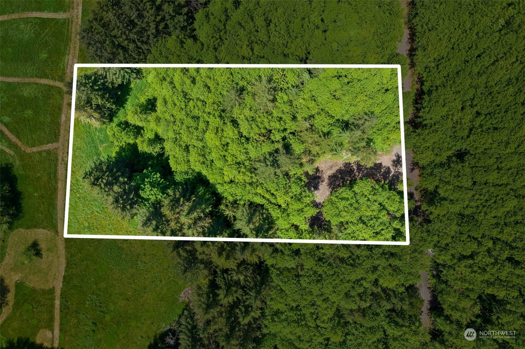 178 Owl Creek Lane Property Photo 7