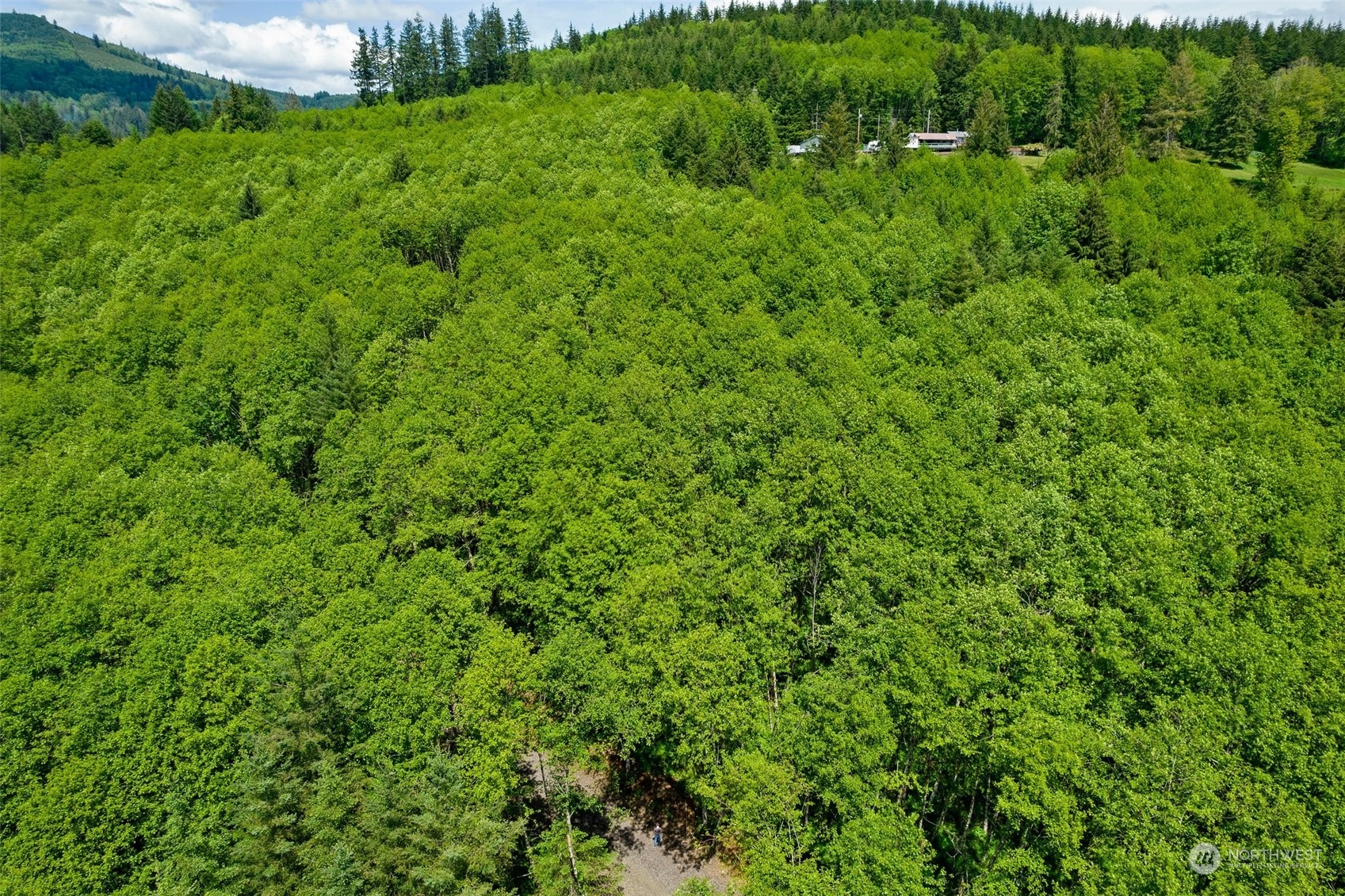 163 Owl Creek Lane Property Photo 4