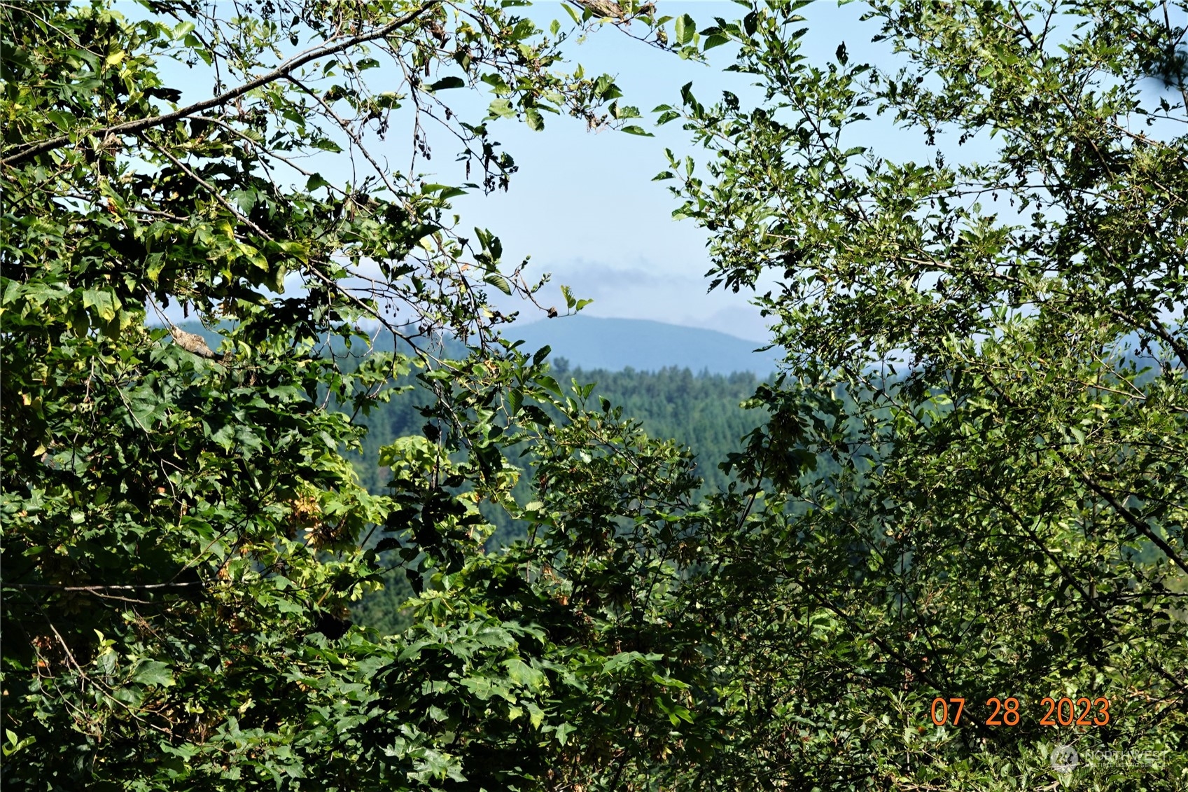 1141 114th Avenue Property Photo