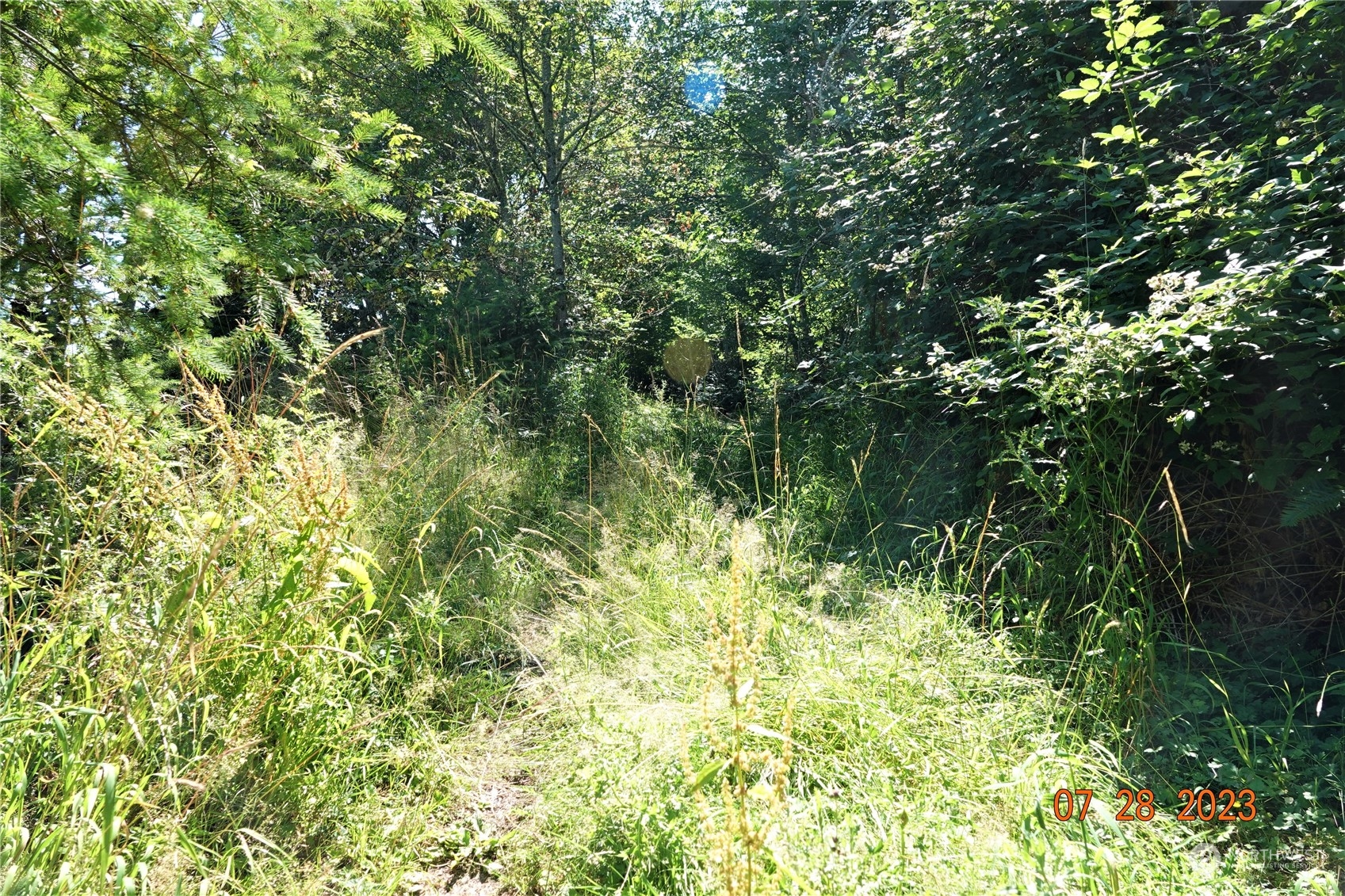 51957 114th Avenue Property Photo 3