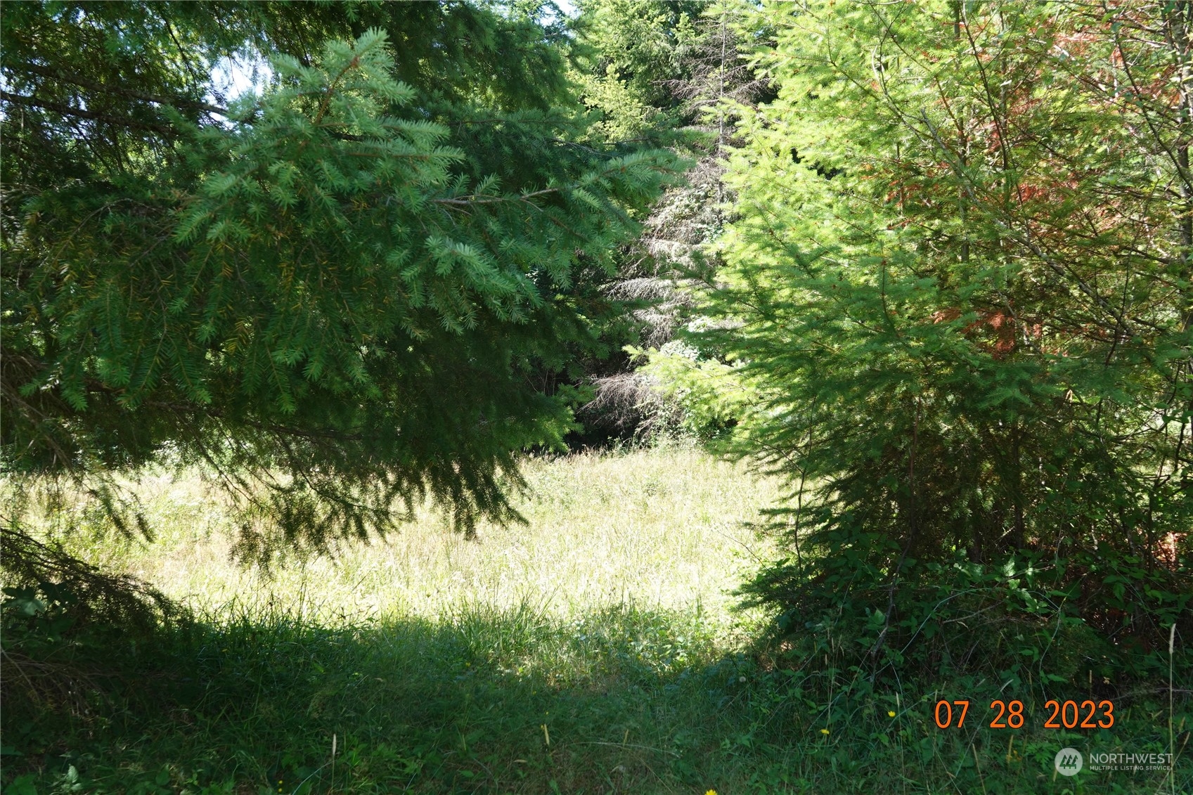 51957 114th Avenue Property Photo 7