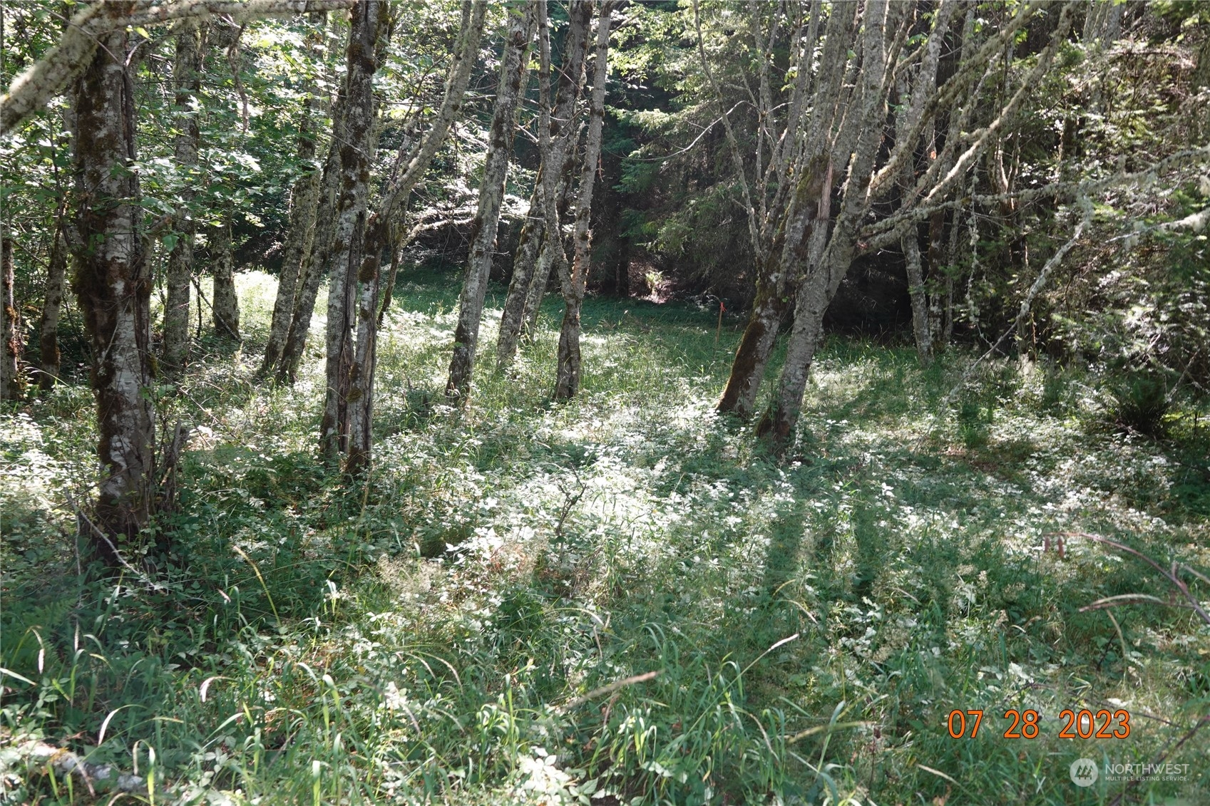 51957 114th Avenue Property Photo 8