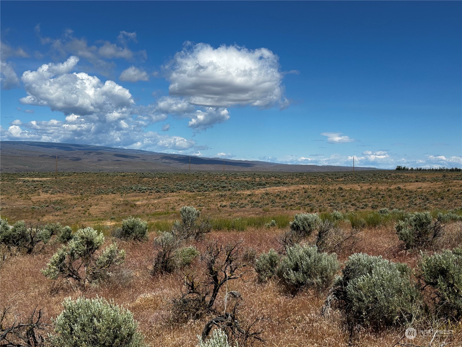 23297 Sage Loop Lot 4 Property Photo 1