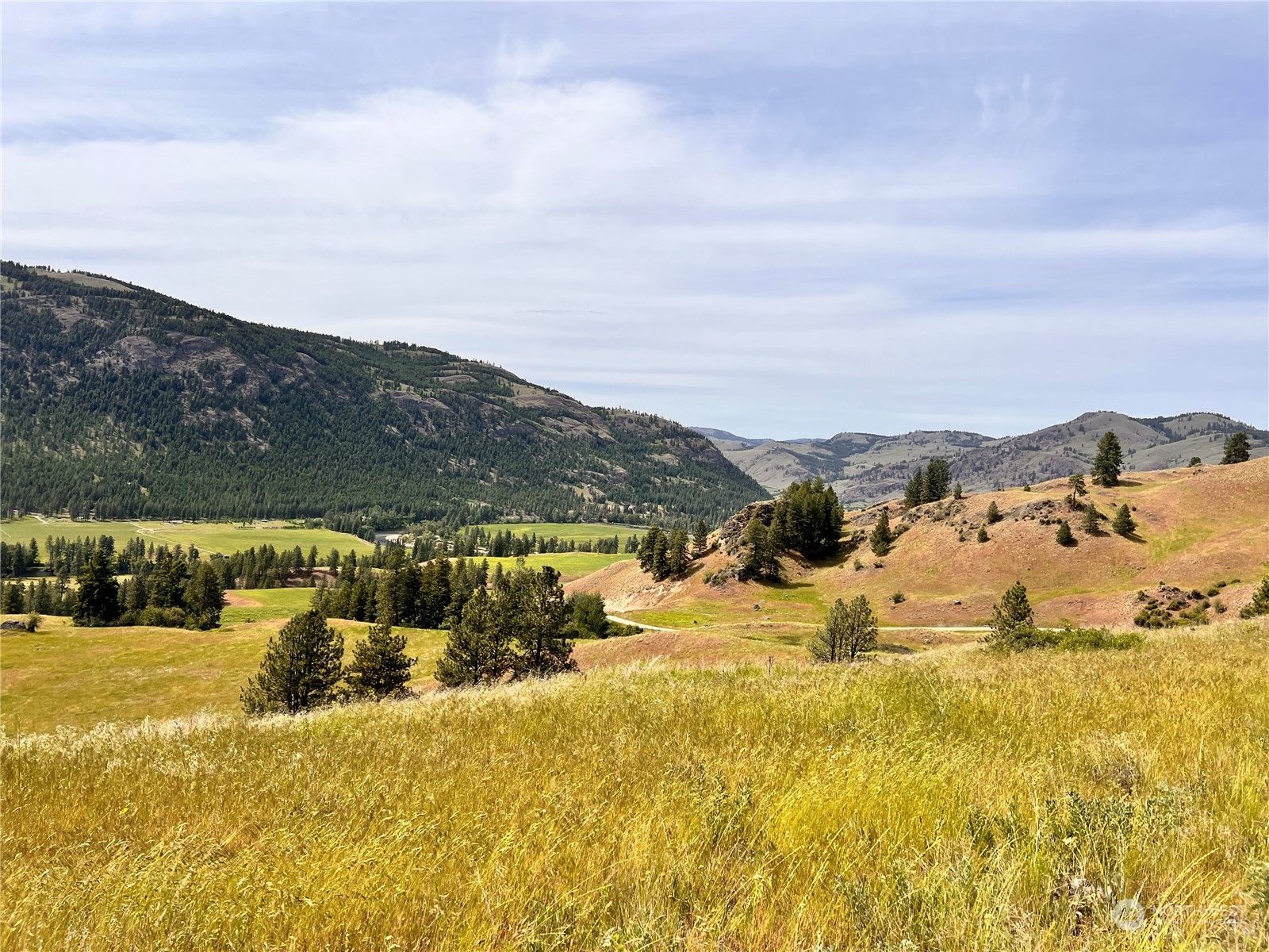 0 Tbd Cathrine Creek Road Property Photo