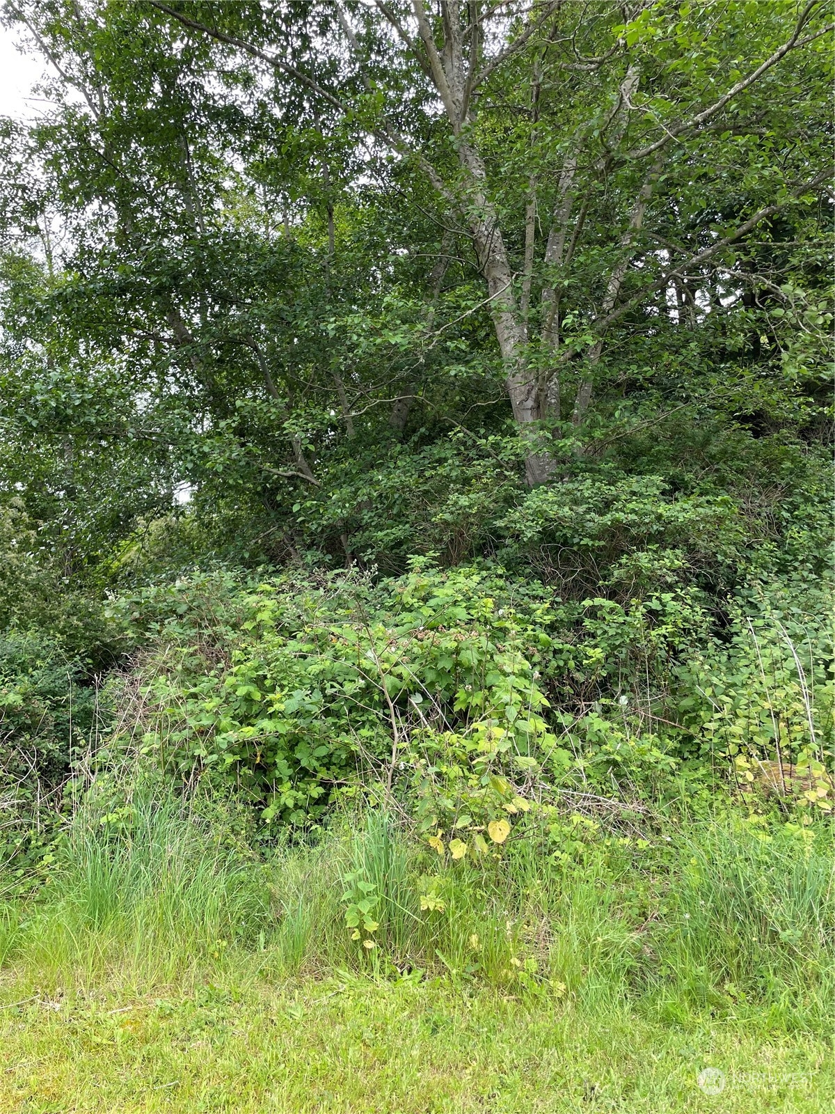 0 Xxx Cranes Landing Drive Property Photo 2