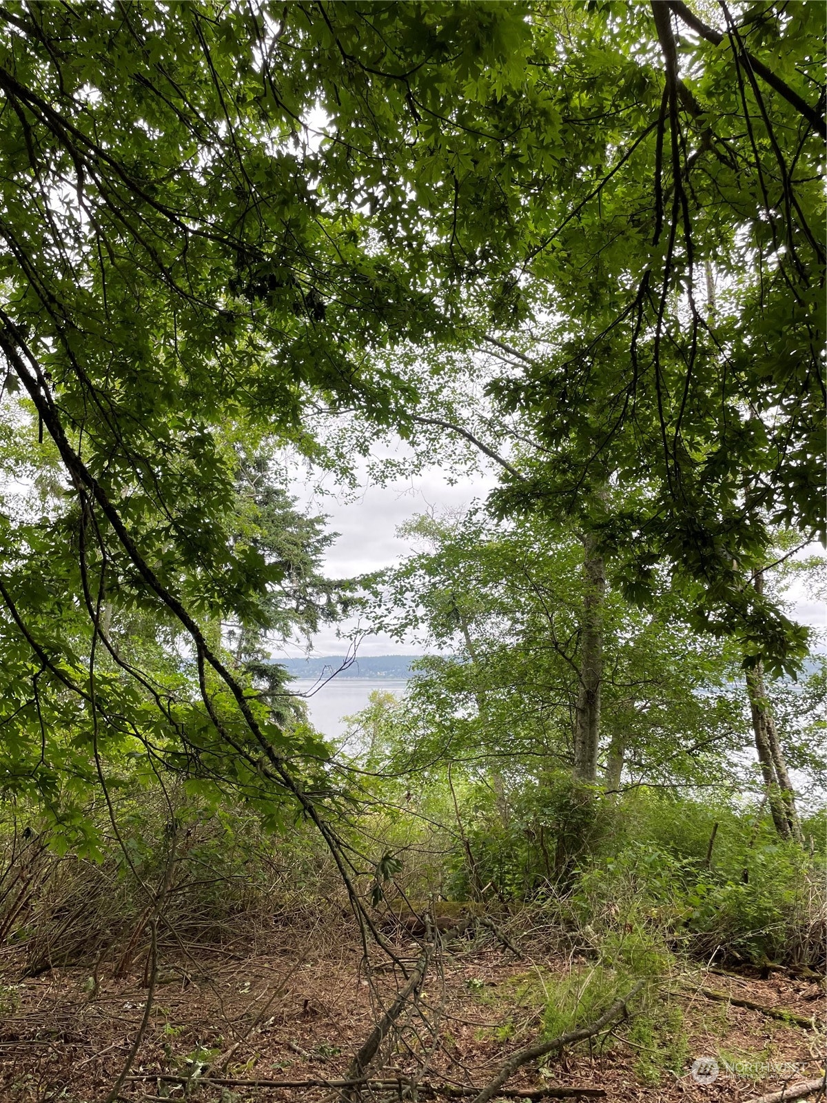 0 Xxx Cranes Landing Drive Property Photo 3