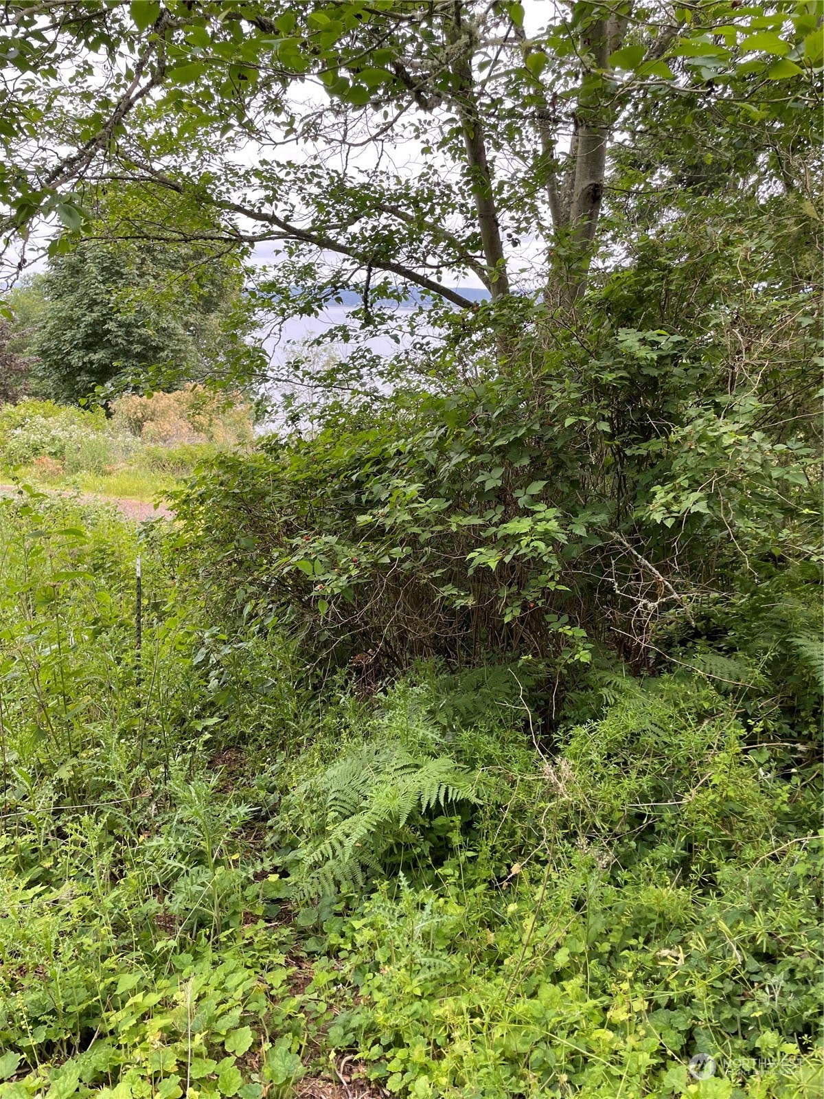 0 Xxx Cranes Landing Drive Property Photo 5