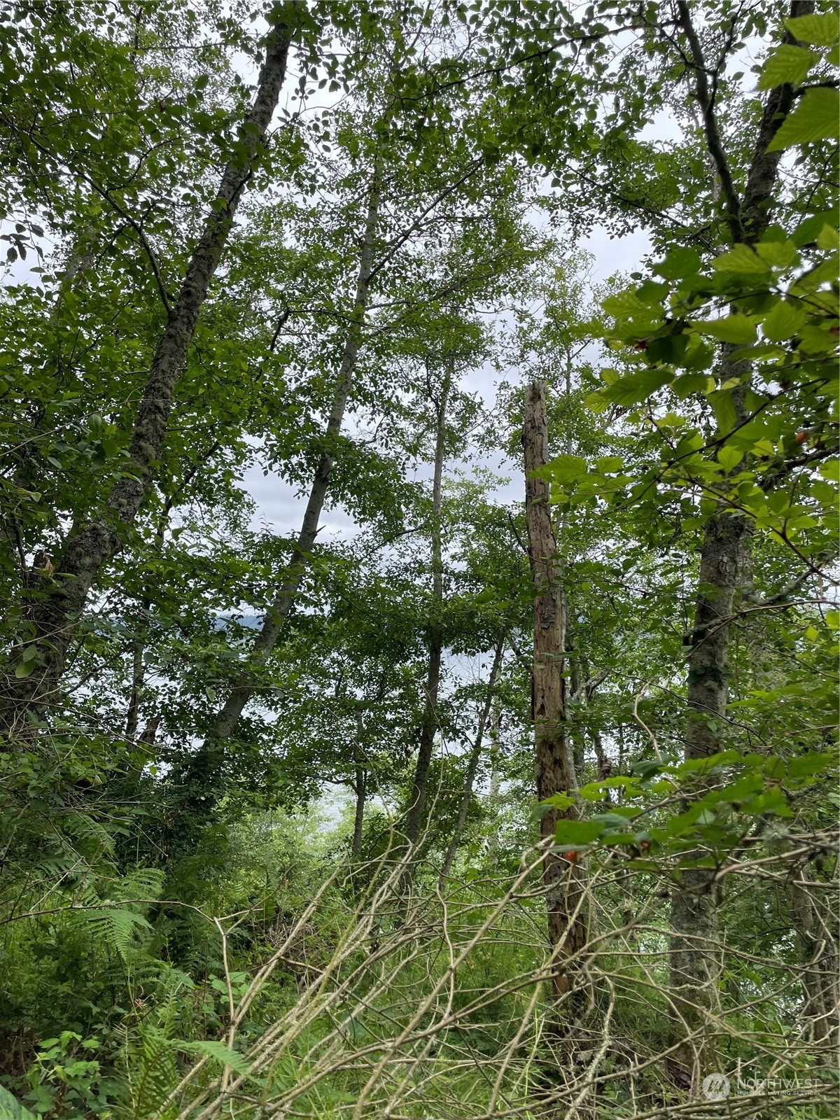0 Xxx Cranes Landing Drive Property Photo 9
