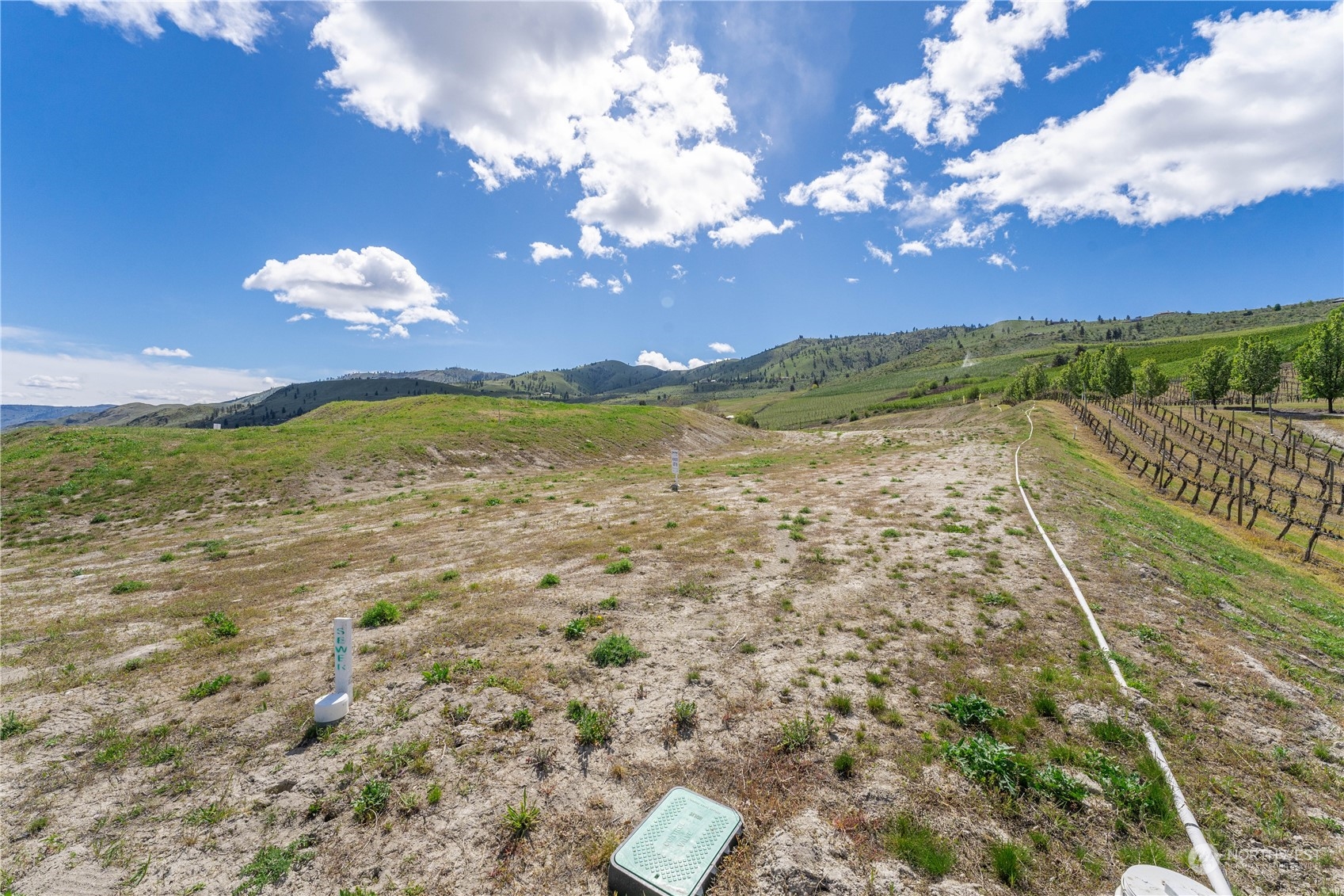 48 Loretta Lane Property Photo 8