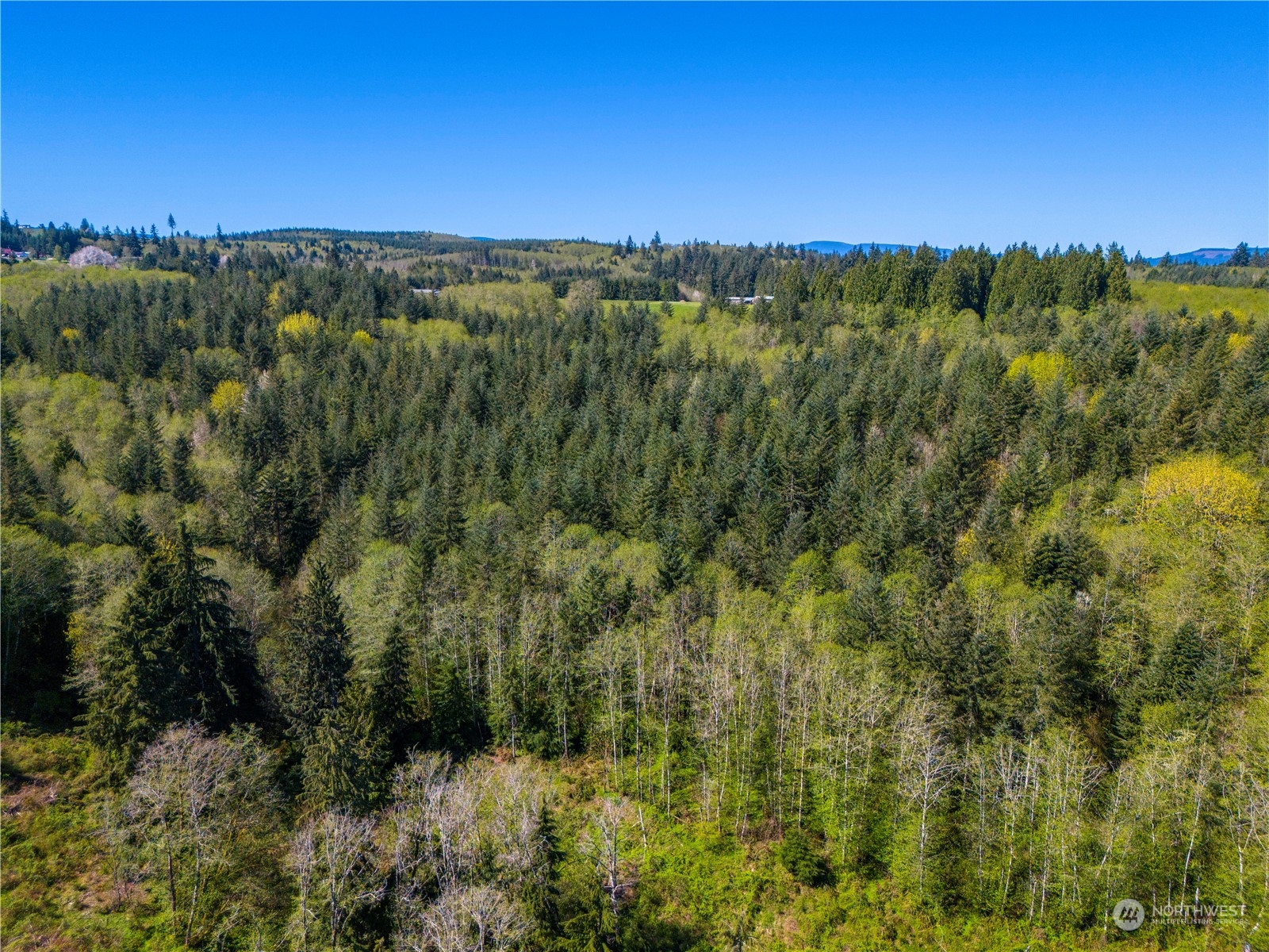 0 Bodine Road Property Photo 6