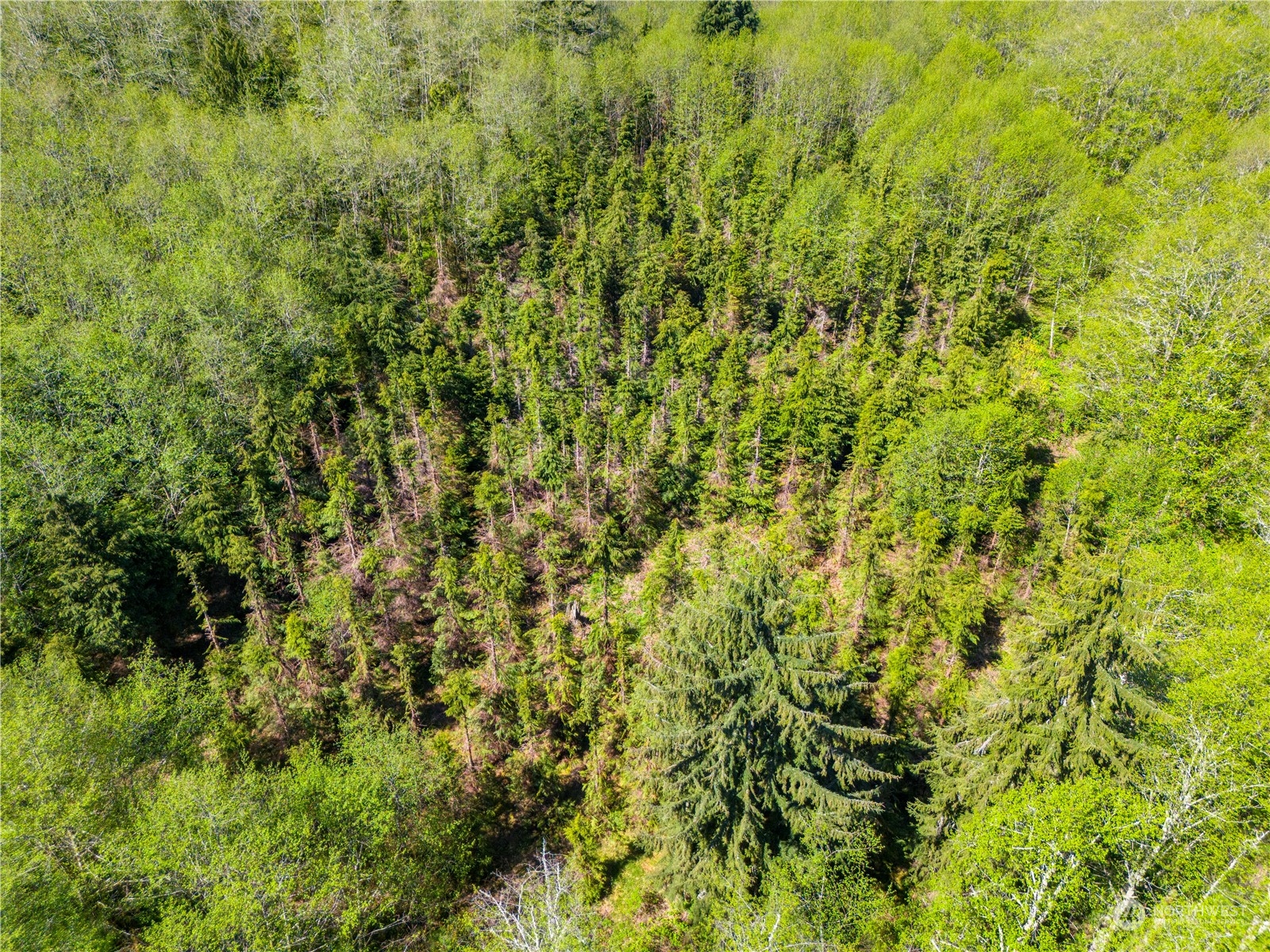 0 Bodine Road Property Photo 10