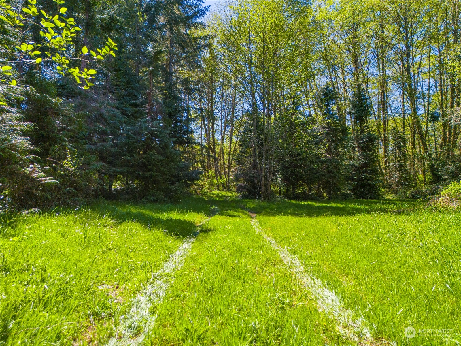 0 Bodine Road Property Photo 21