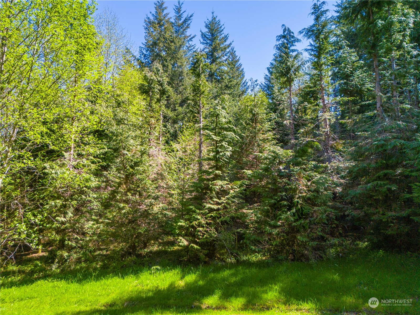 0 Bodine Road Property Photo 22
