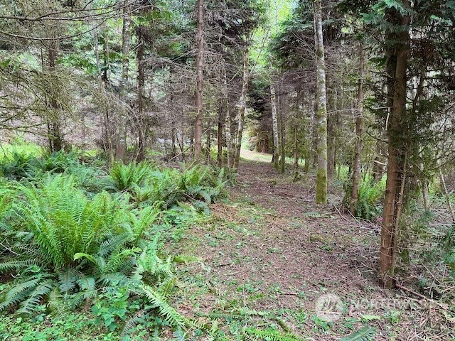 0 Bodine Road Property Photo 27