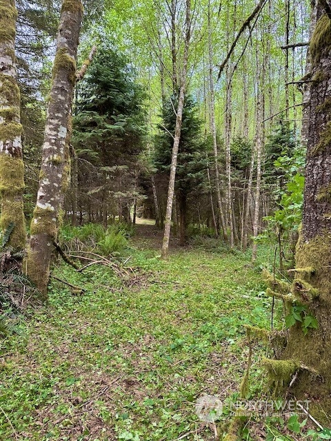 0 Bodine Road Property Photo 28