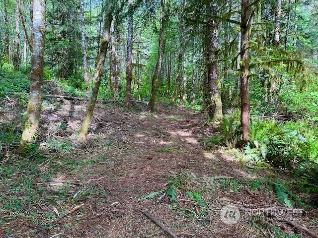 0 Bodine Road Property Photo 32