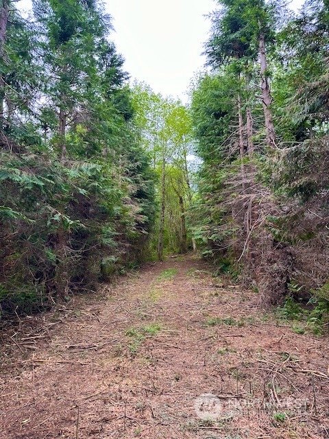0 Bodine Road Property Photo 33