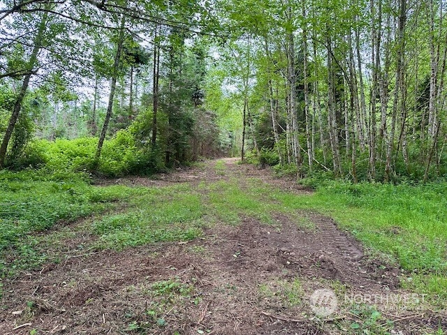 0 Bodine Road Property Photo 34