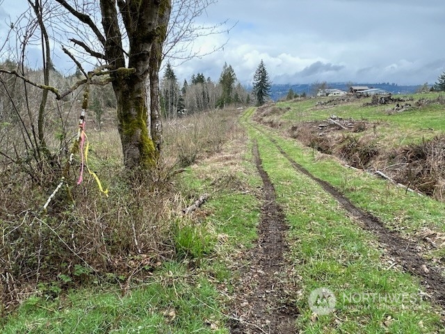 0 Bodine Road Property Photo 36