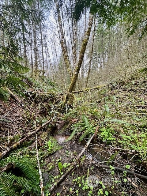 0 Bodine Road Property Photo 37