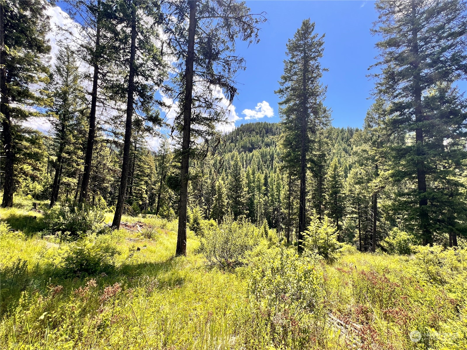 0 Tbd Old Kettle Falls Road Property Photo 1