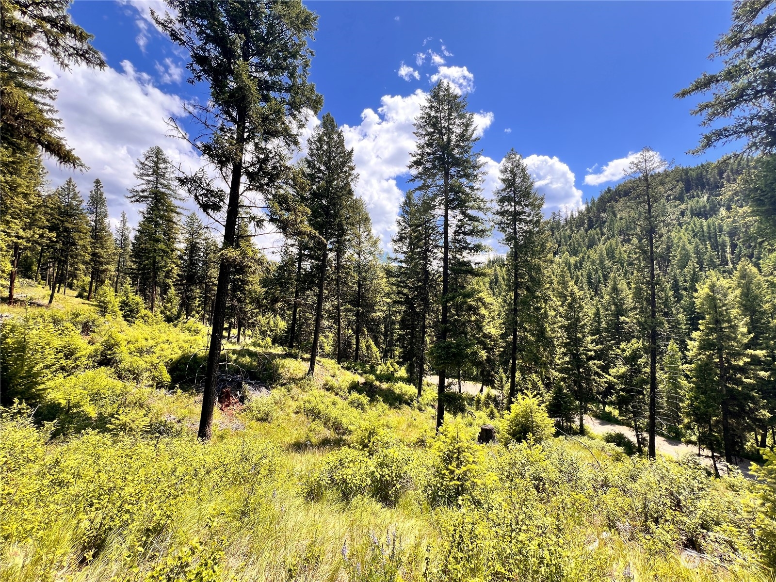 0 Tbd Old Kettle Falls Road Property Photo 2
