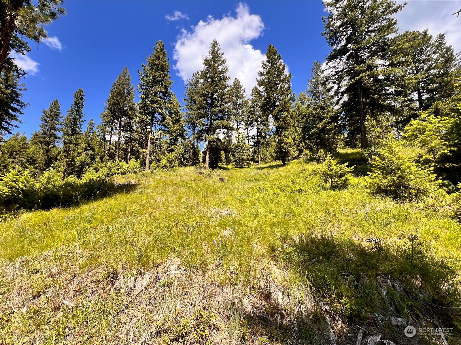 0 Tbd Old Kettle Falls Road Property Photo 4