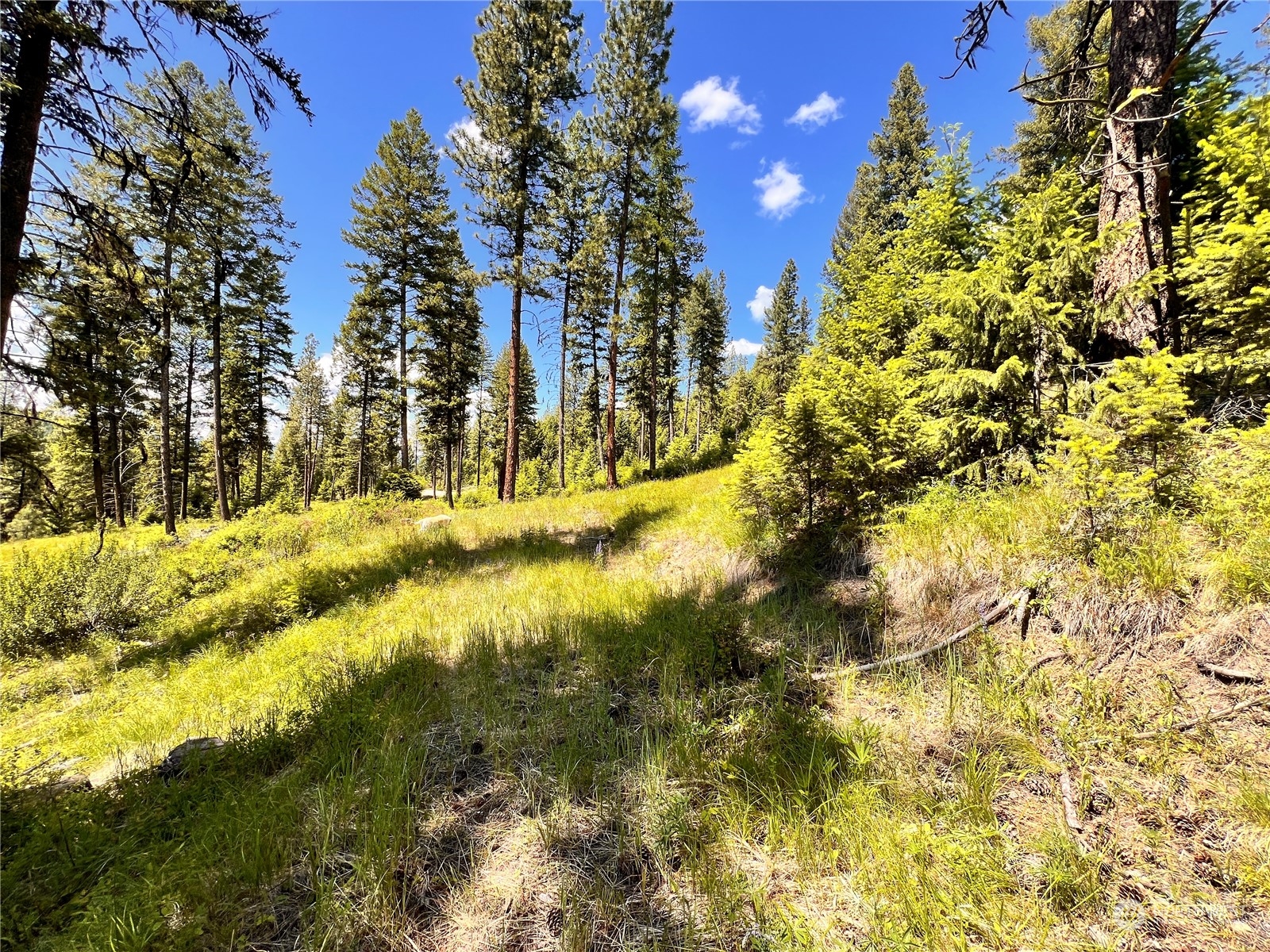 0 Tbd Old Kettle Falls Road Property Photo 5