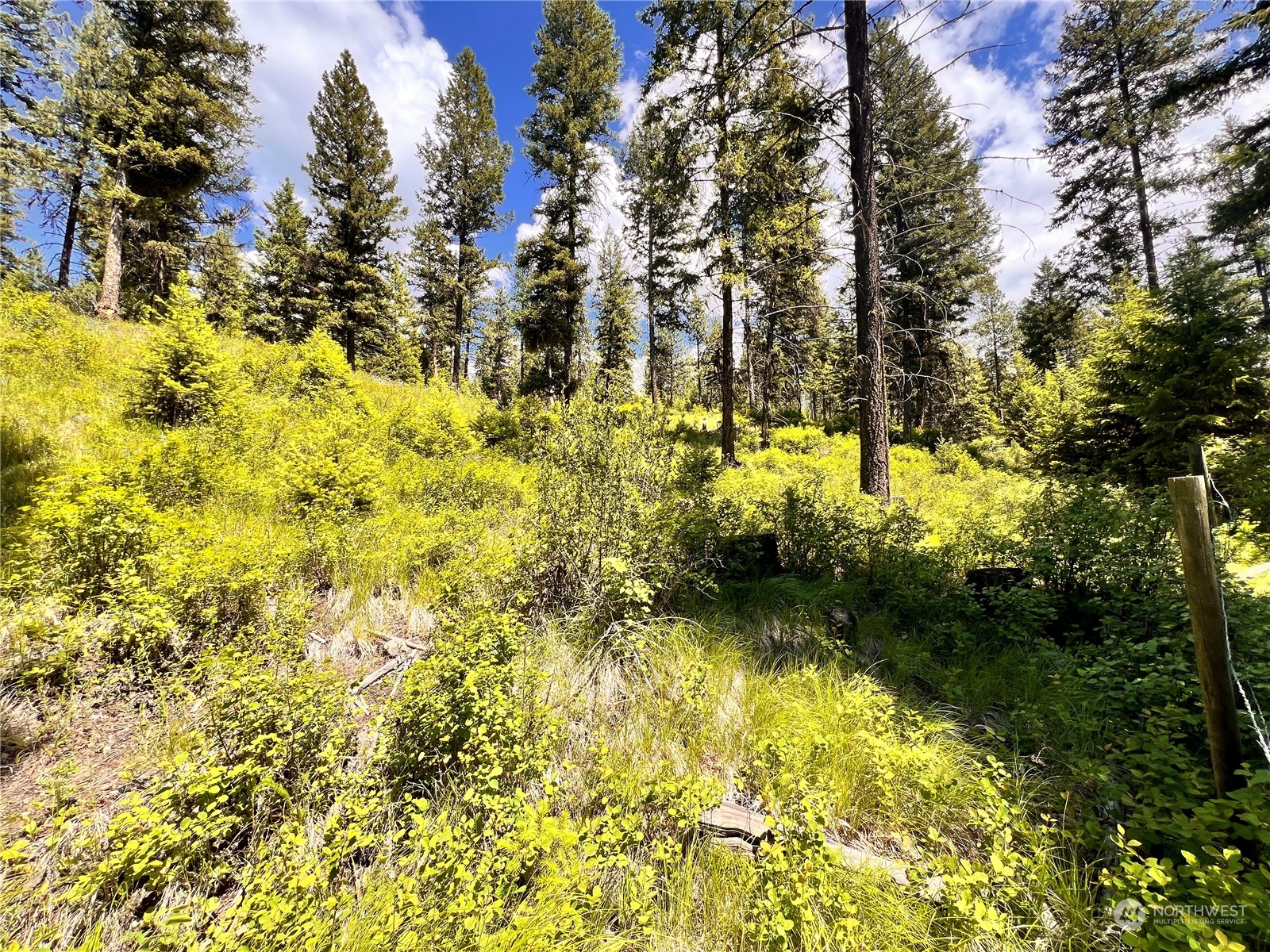 0 Tbd Old Kettle Falls Road Property Photo 7