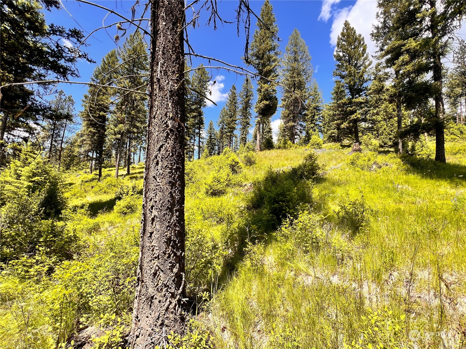 0 Tbd Old Kettle Falls Road Property Photo 9