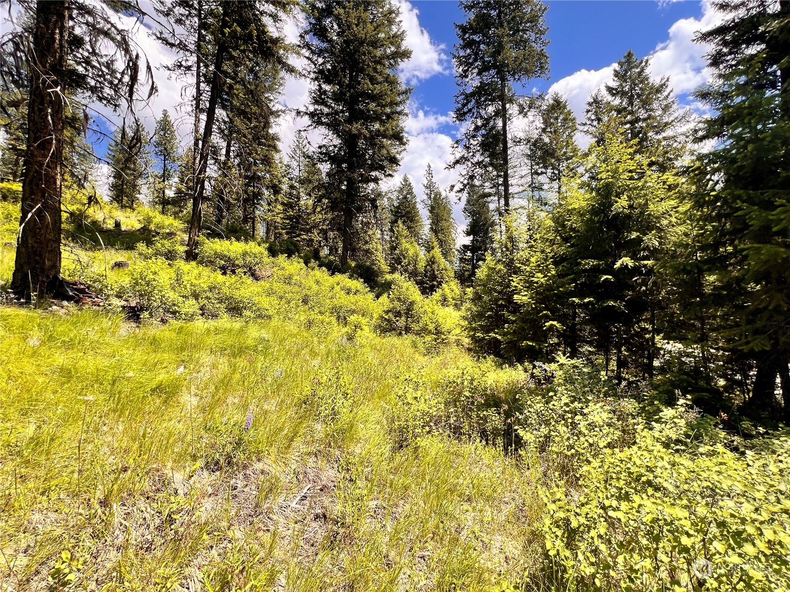 0 Tbd Old Kettle Falls Road Property Photo 11