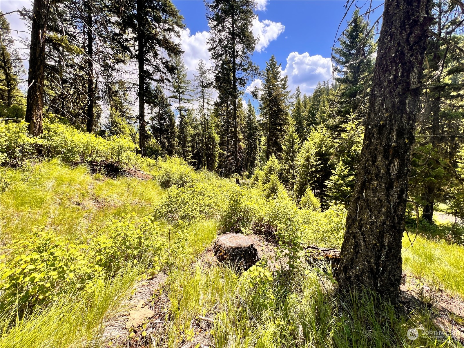 0 Tbd Old Kettle Falls Road Property Photo 13