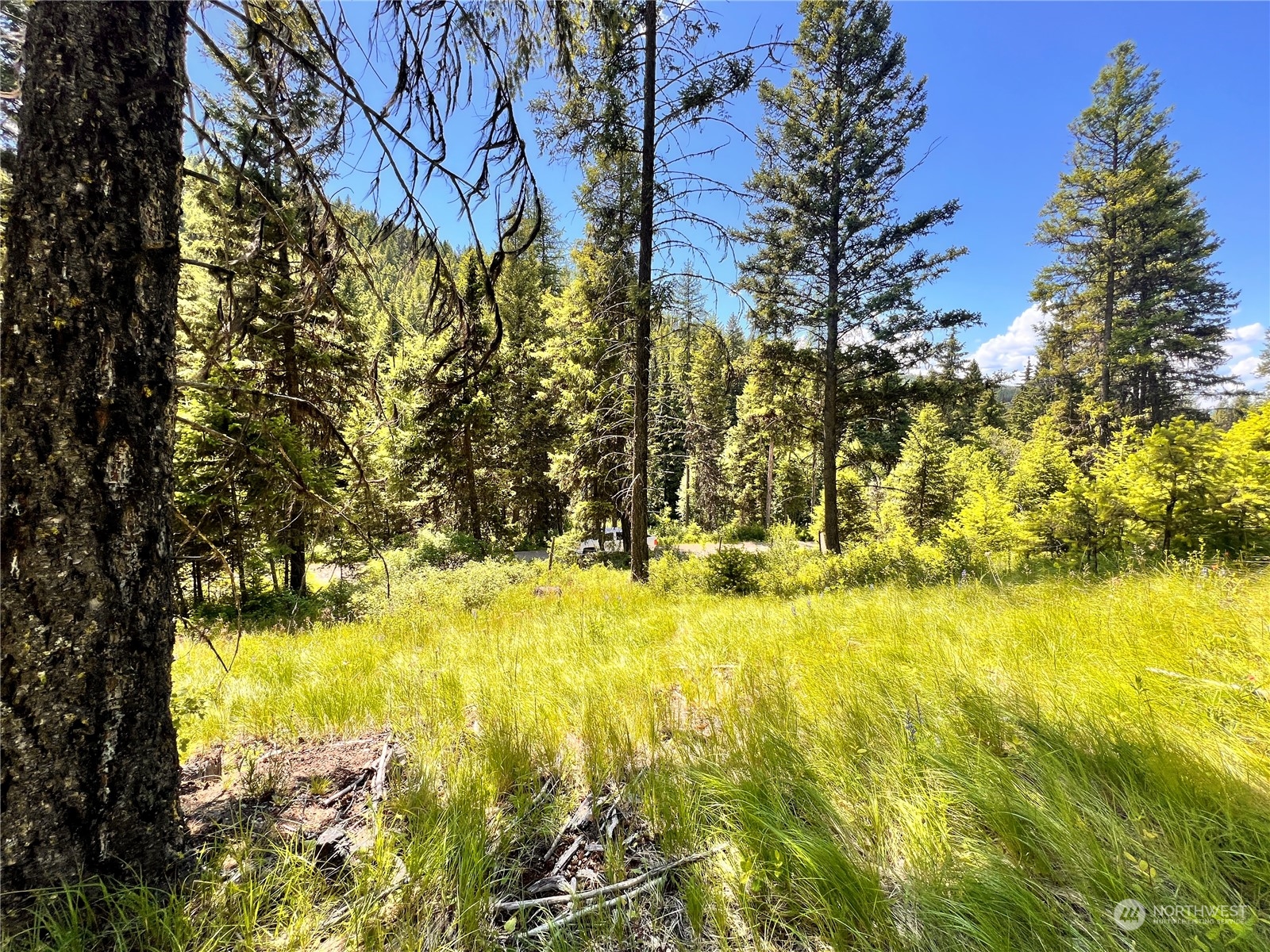 0 Tbd Old Kettle Falls Road Property Photo 14