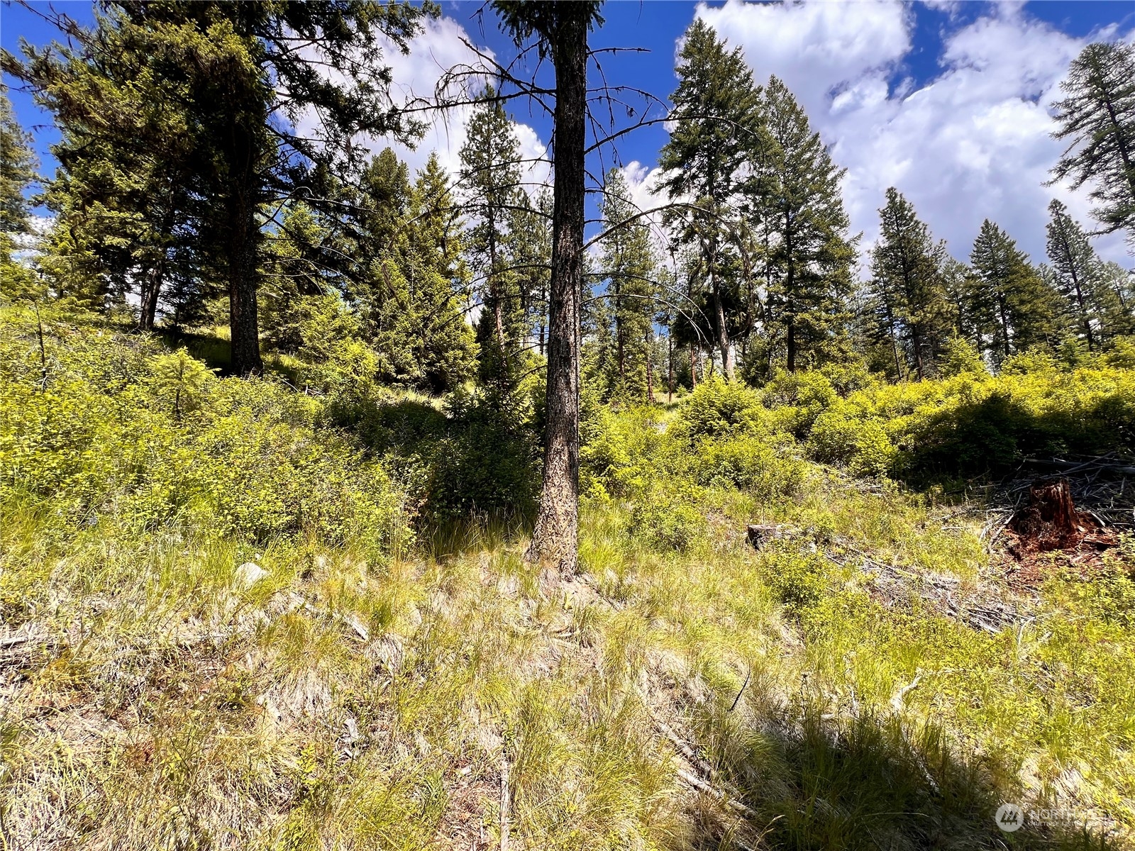 0 Tbd Old Kettle Falls Road Property Photo 15