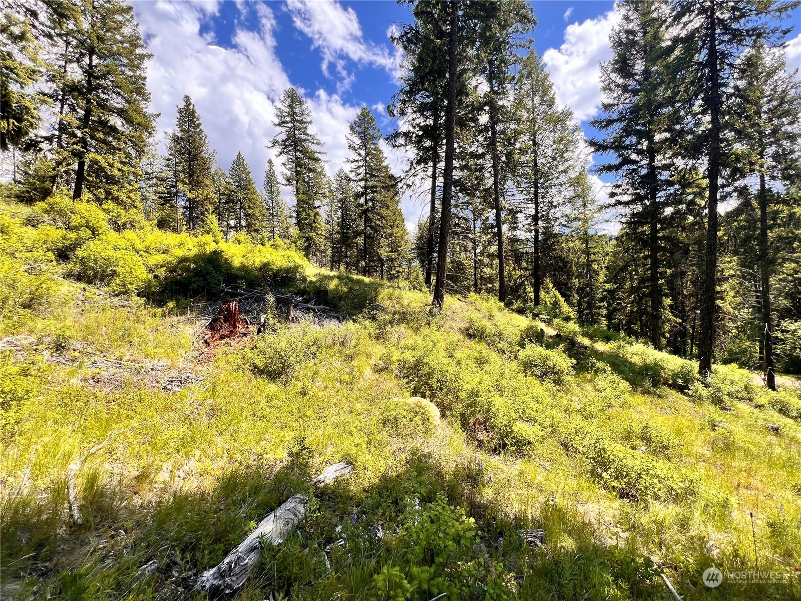 0 Tbd Old Kettle Falls Road Property Photo 16