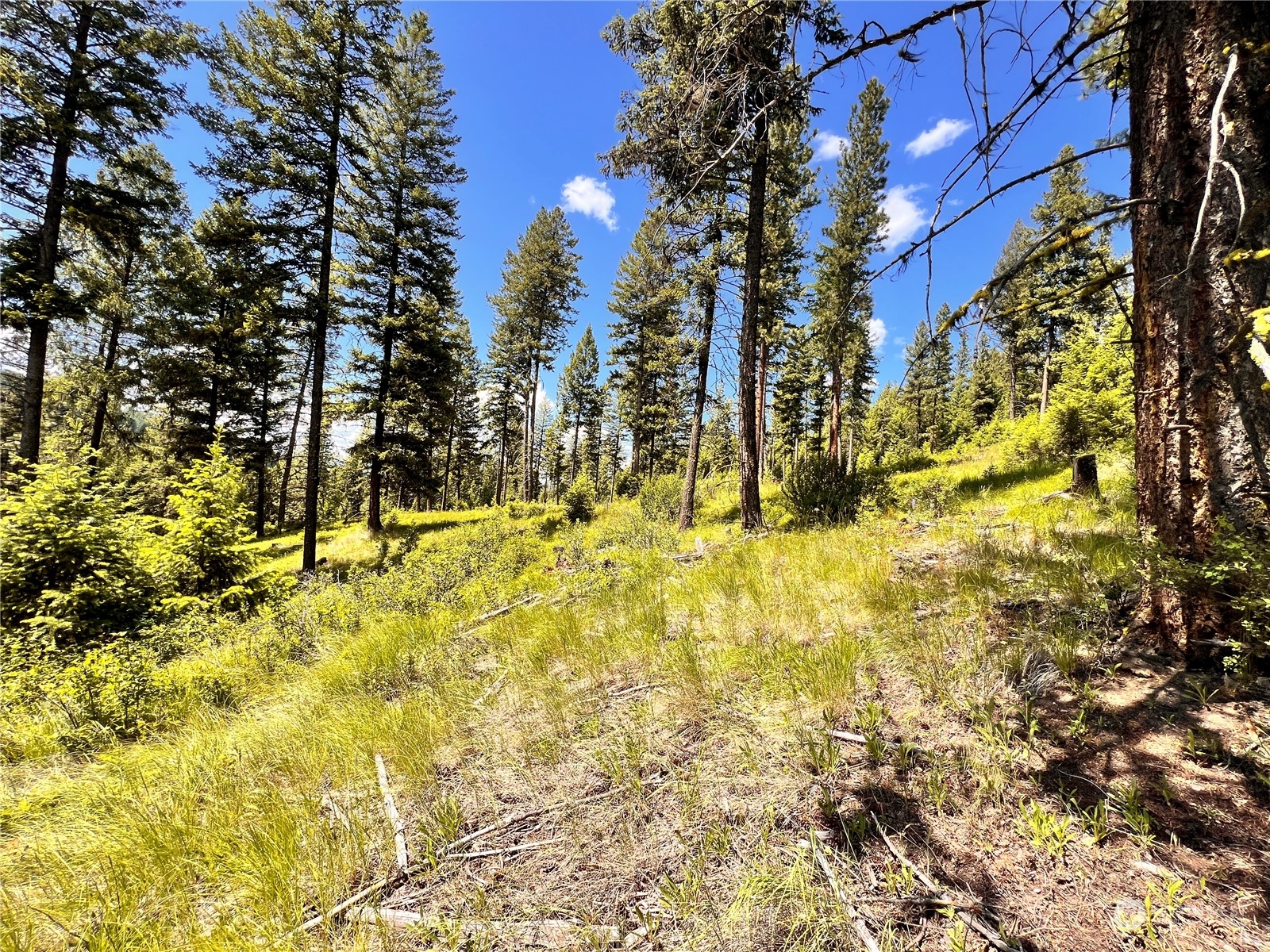 0 Tbd Old Kettle Falls Road Property Photo 18