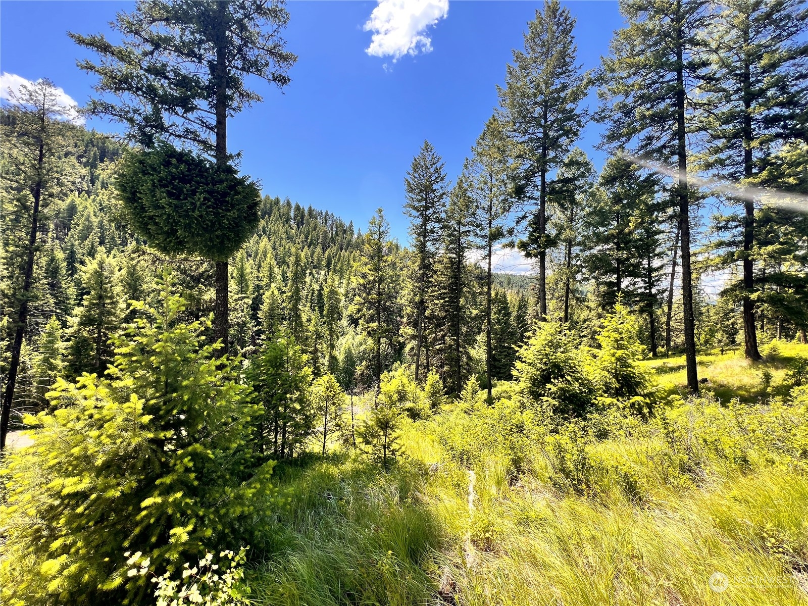 0 Tbd Old Kettle Falls Road Property Photo 19