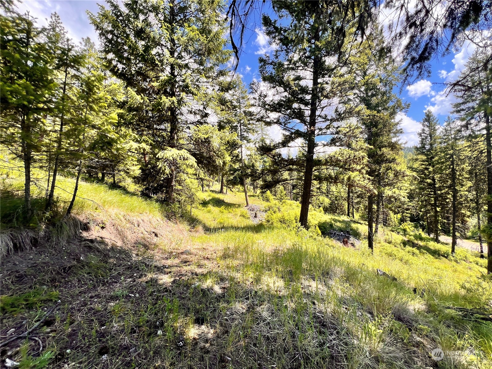 0 Tbd Old Kettle Falls Road Property Photo 20
