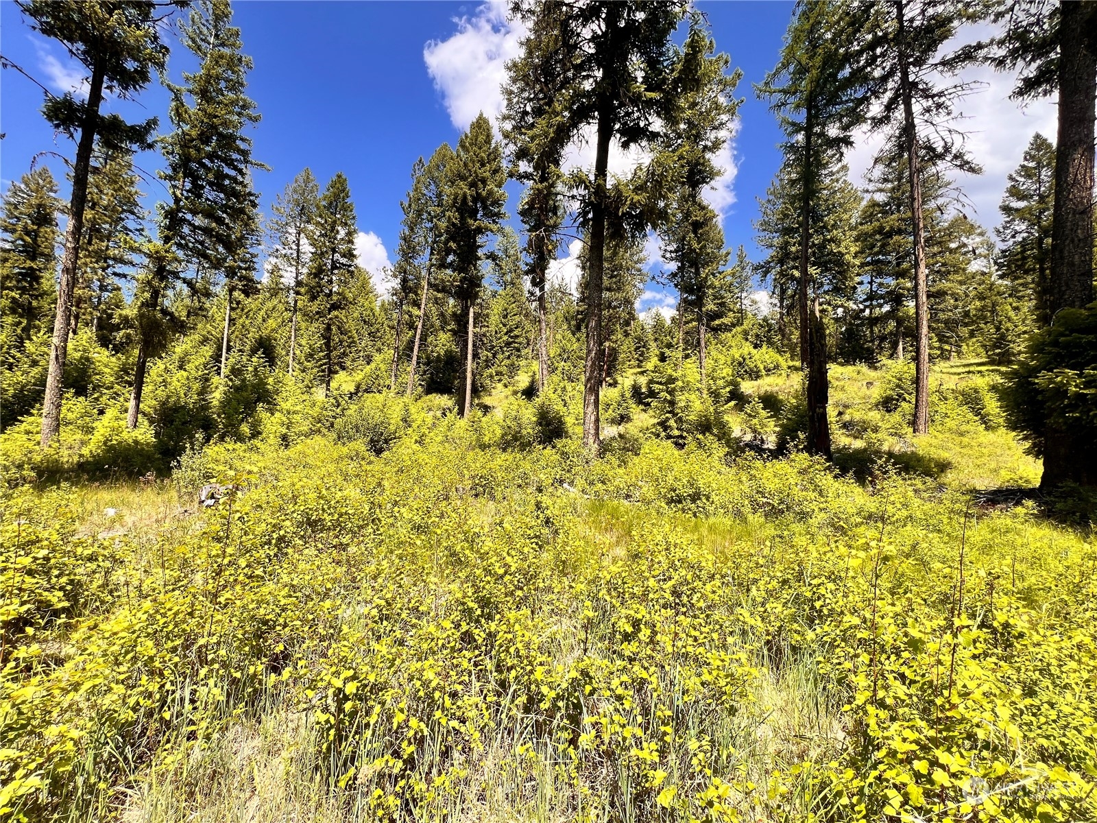 0 Tbd Old Kettle Falls Road Property Photo 21
