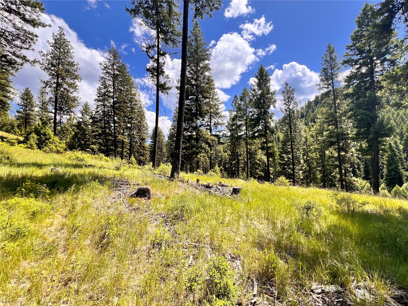 0 Tbd Old Kettle Falls Road Property Photo 22
