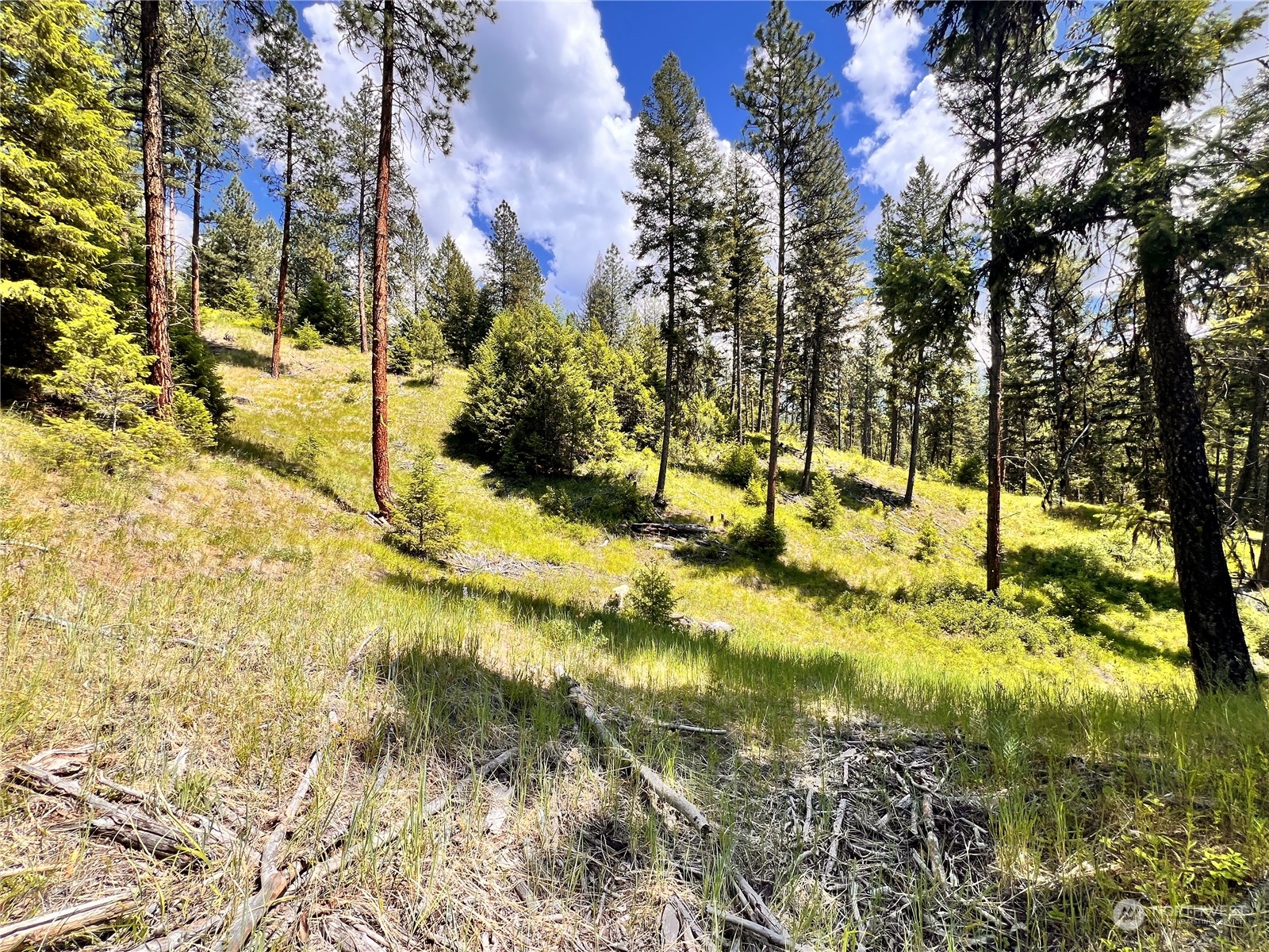 0 Tbd Old Kettle Falls Road Property Photo 24