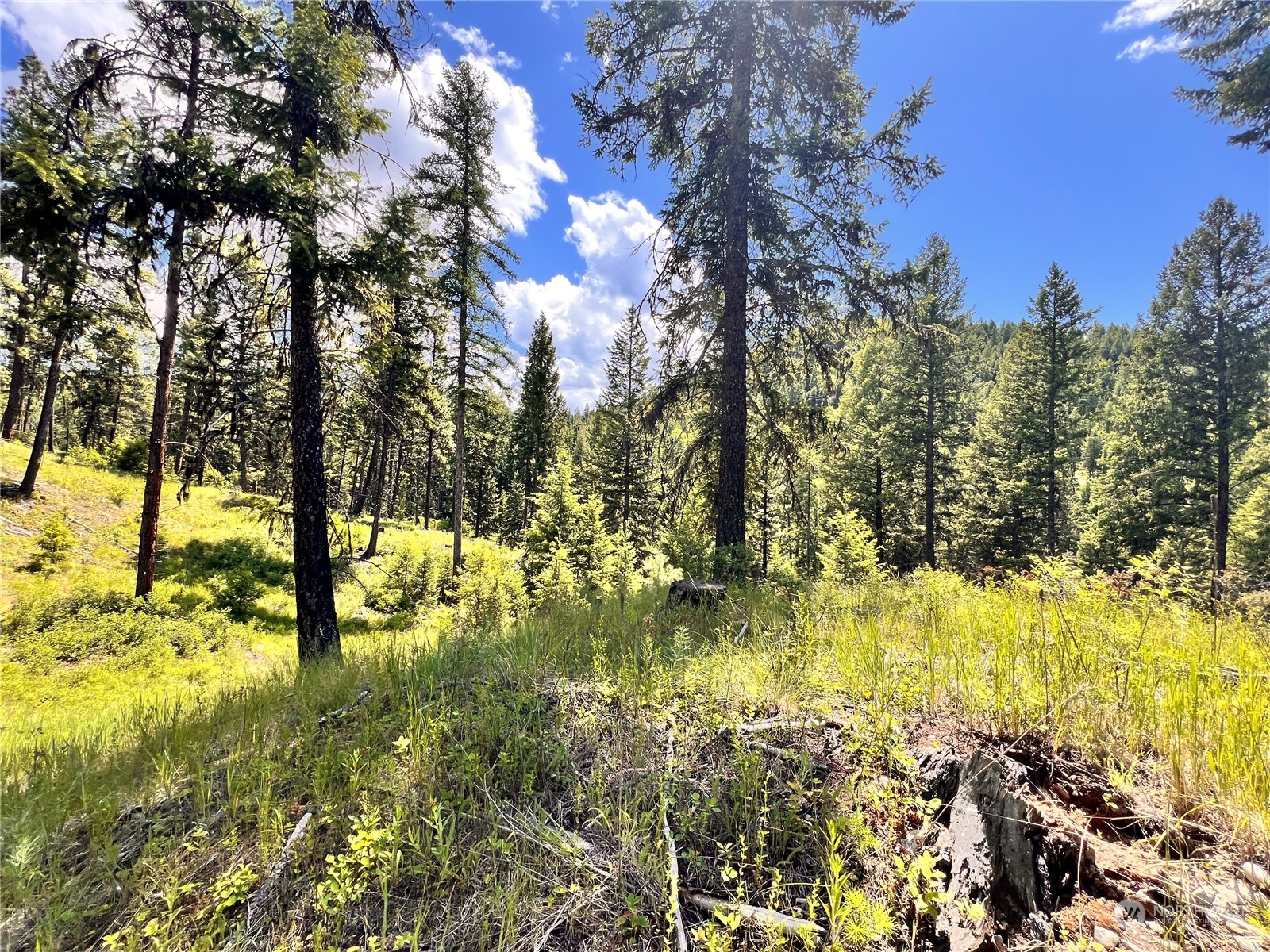 0 Tbd Old Kettle Falls Road Property Photo 25