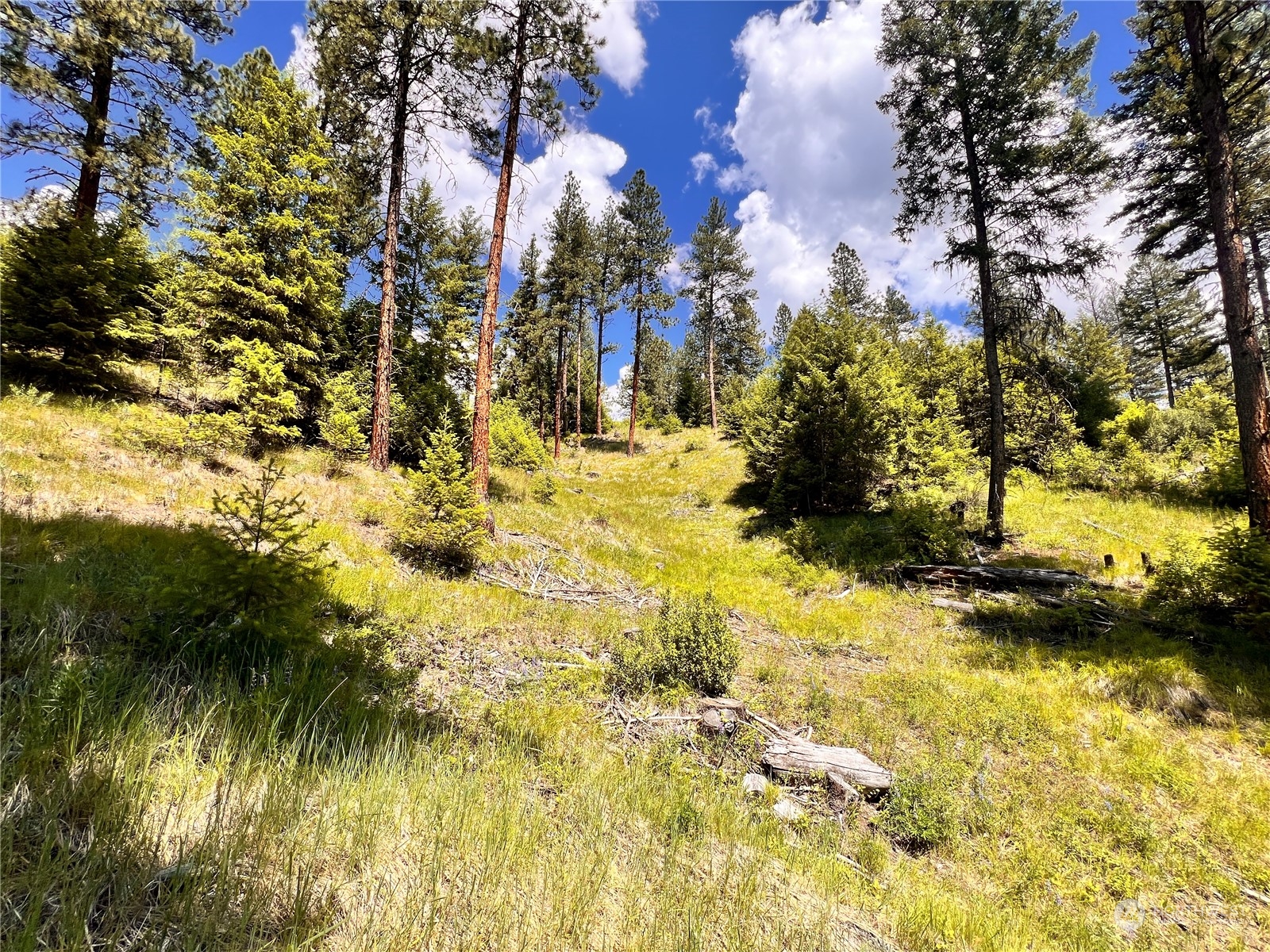 0 Tbd Old Kettle Falls Road Property Photo 26