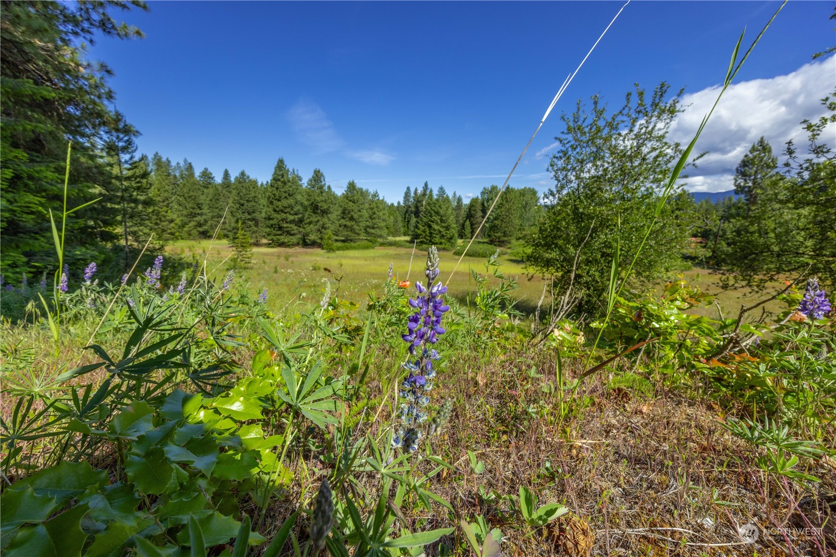 20106 Shugart Flats Road Property Photo 2