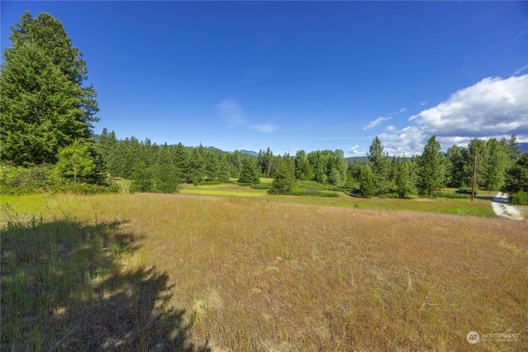 20106 Shugart Flats Road Property Photo 3